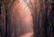 蜂鸟电竞官网：擎天白玉柱！科内特10中7拿到15分16板4助 正负值+21全场最高.