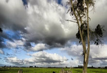 [乒乓球]山东魏桥、汕头明润、黄石基地华新取得乒超两连胜.