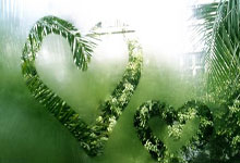 蜂鸟电竞官网：德甲-凯恩戴帽萨内特尔破门 拜仁主场7-0大胜波鸿.