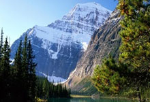 蜂鸟电竞官网：[CBA]闫宇峰：辽宁队赢在整体实力和冠军底蕴.