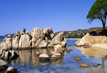 蜂鸟电竞官网：互赠球衣，德约晒与梅西合照：很荣幸见到伟大的梅西.